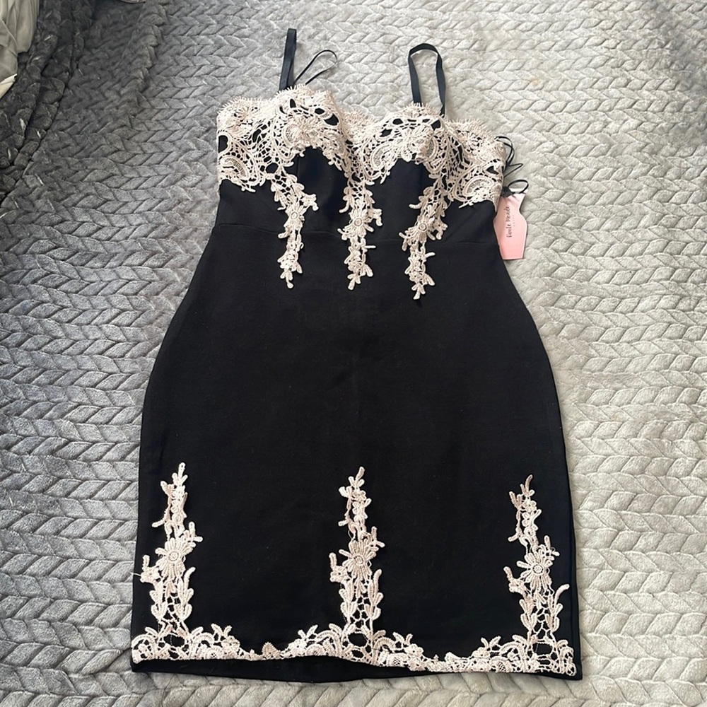 Embroider Silhouette Bodycon Dress